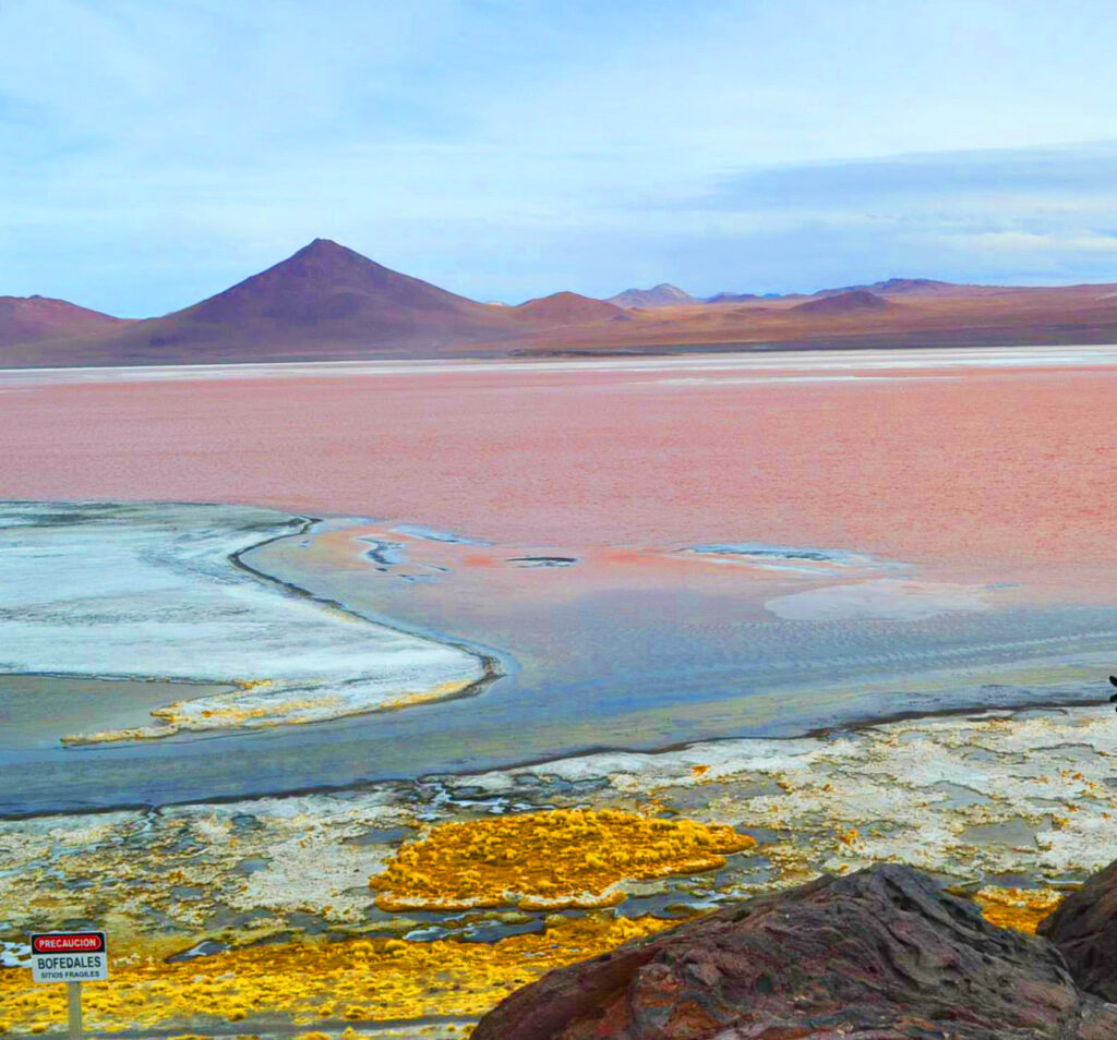 Laguna Colorada Bolivia