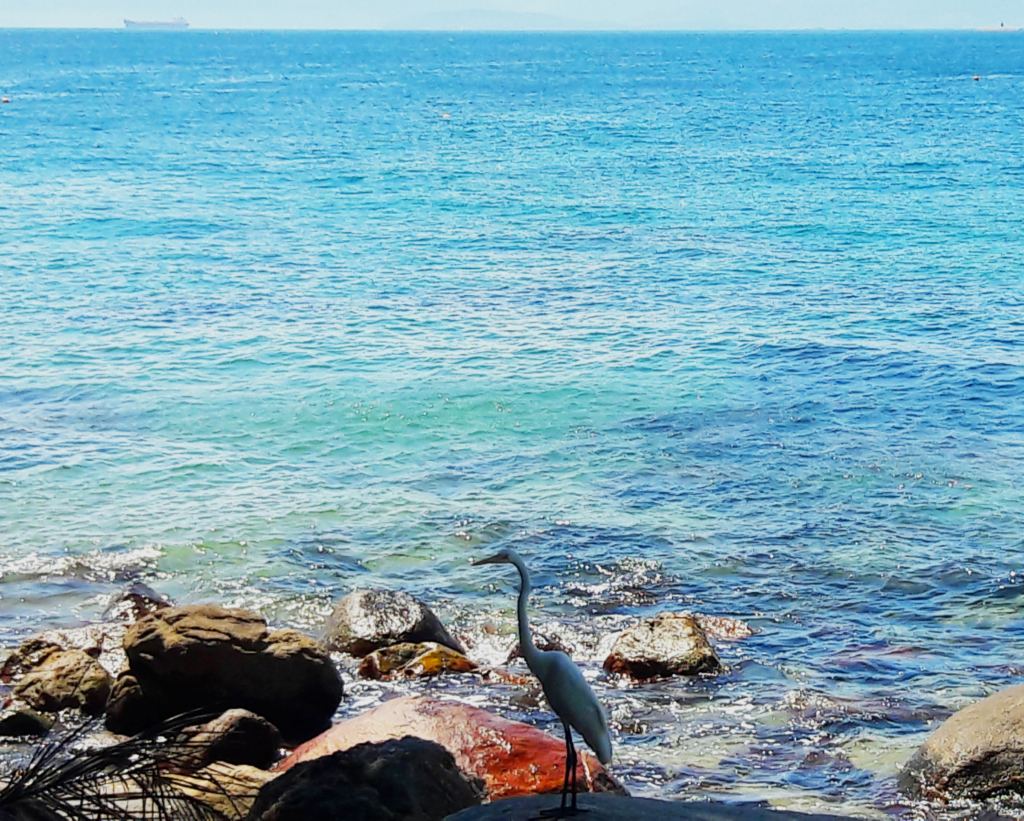 Praia Grande de Araçatiba Ilha Grande